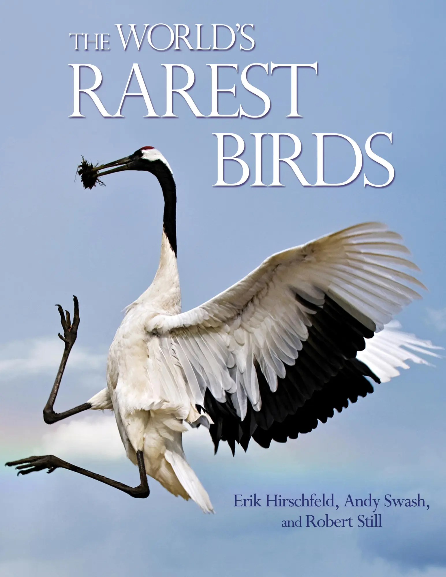 Cover: 9780691155968 | The World's Rarest Birds | Erik Hirschfeld (u. a.) | Buch | Wildguides