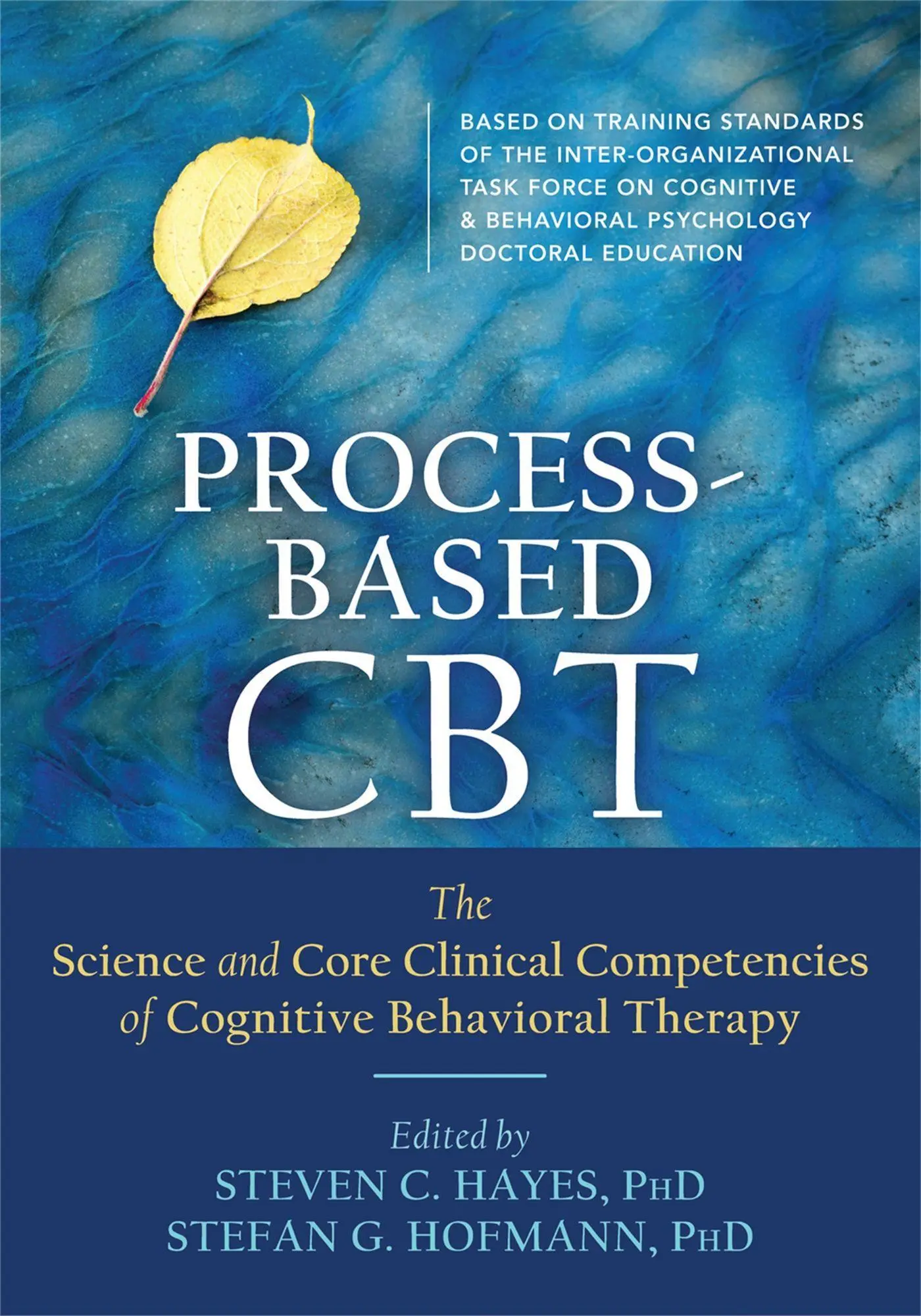 Cover: 9781626255968 | Process-Based CBT | Steven C Hayes (u. a.) | Taschenbuch | Englisch