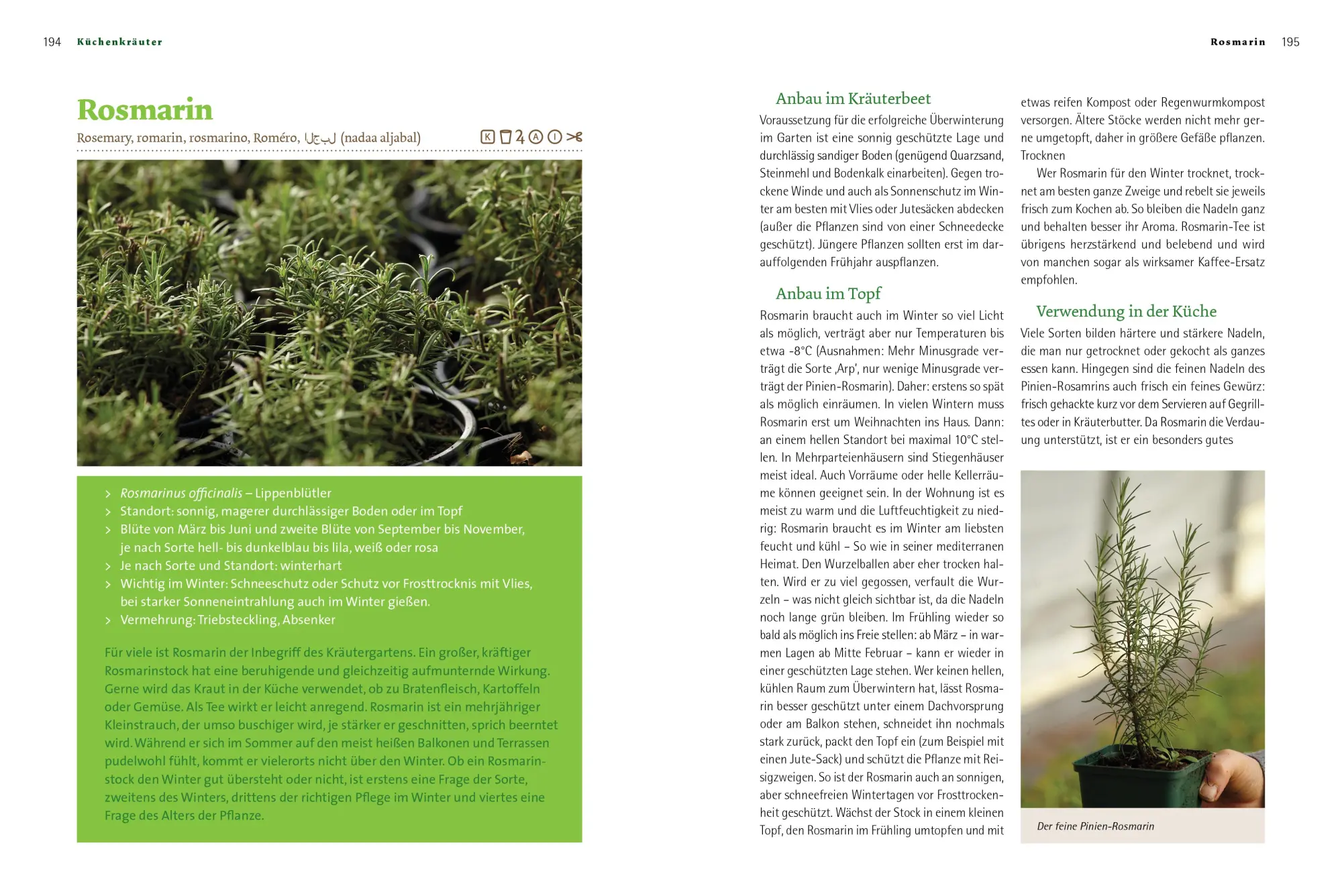 Bild: 9783706625968 | Kräuter richtig anbauen | Andrea Heistinger | Buch | 312 S. | Deutsch
