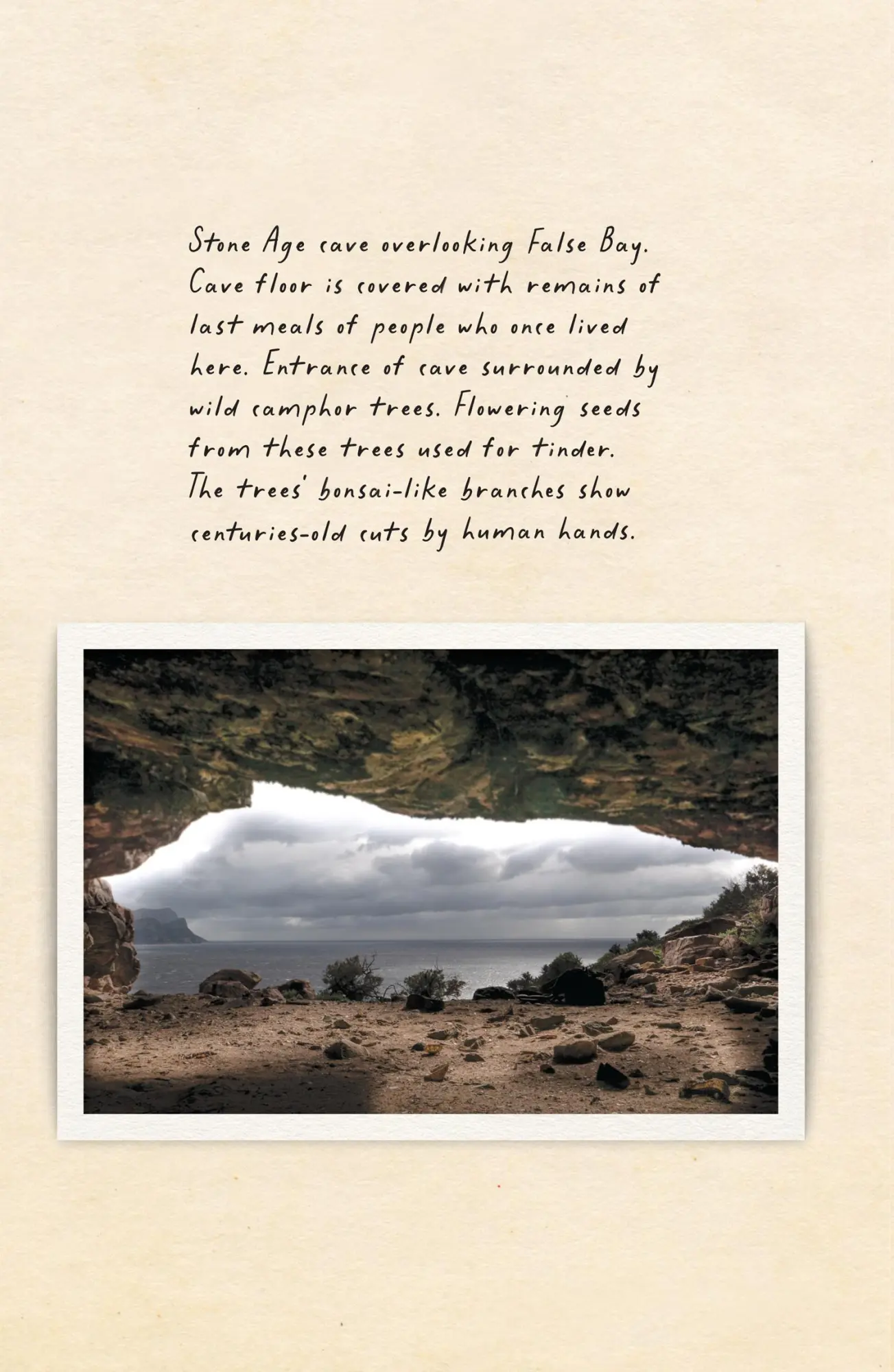 Bild: 9780008556068 | Amphibious Soul | Finding the wild in a tame world | Criag Foster
