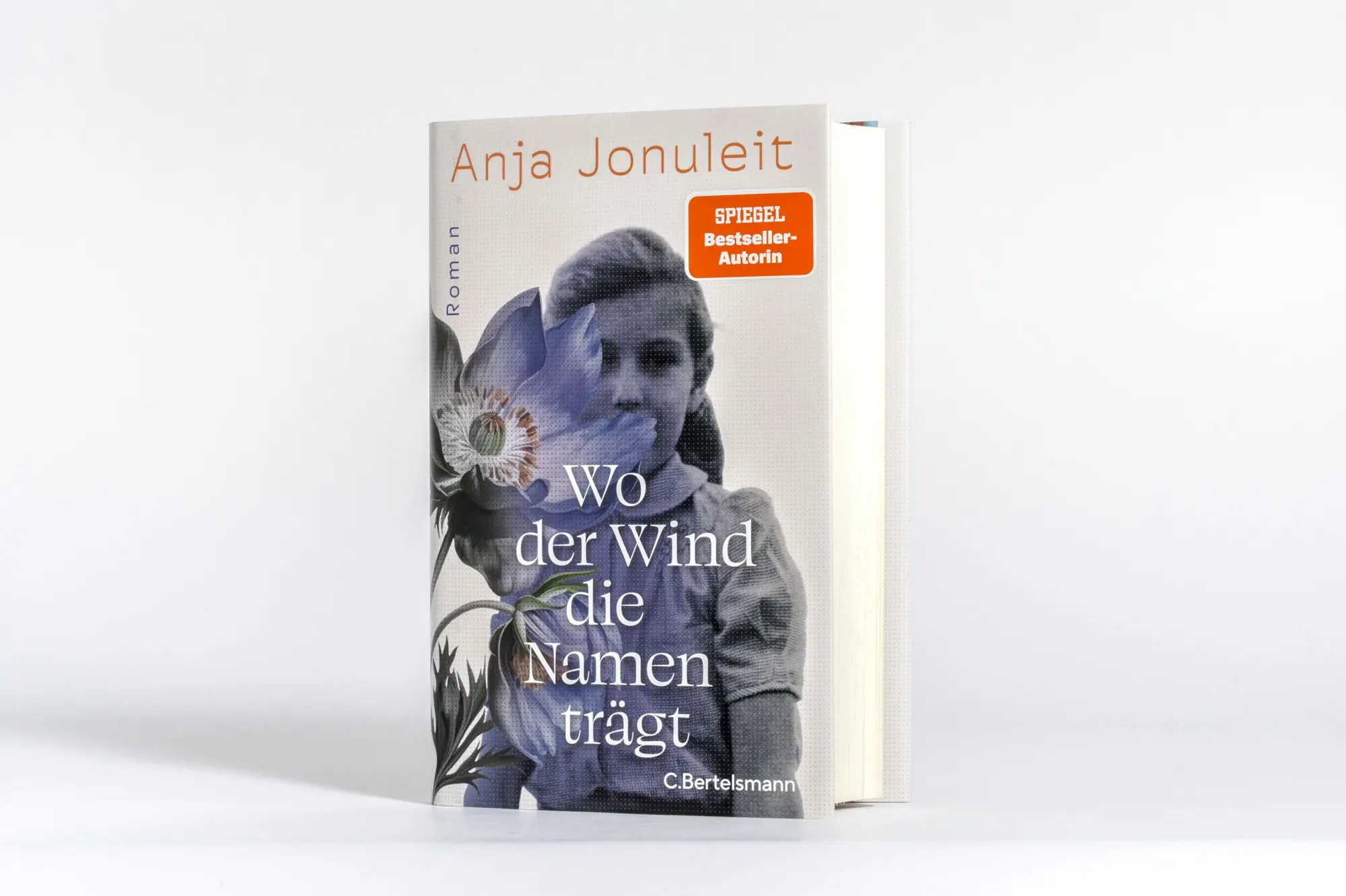 Bild: 9783570106068 | Wo der Wind die Namen trägt | Anja Jonuleit | Buch | 384 S. | Deutsch