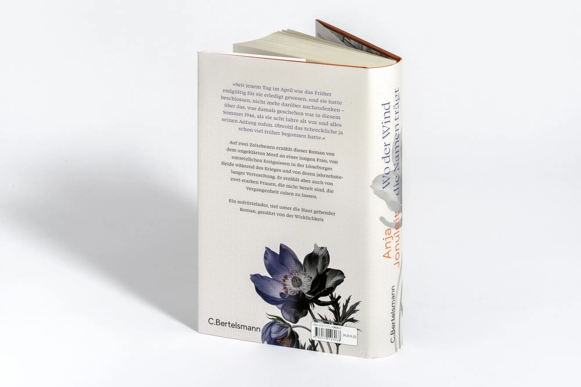 Bild: 9783570106068 | Wo der Wind die Namen trägt | Anja Jonuleit | Buch | 384 S. | Deutsch