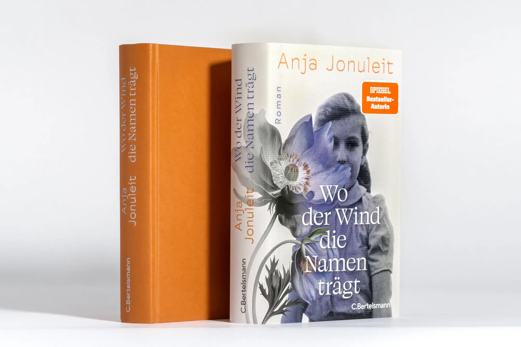 Bild: 9783570106068 | Wo der Wind die Namen trägt | Anja Jonuleit | Buch | 384 S. | Deutsch