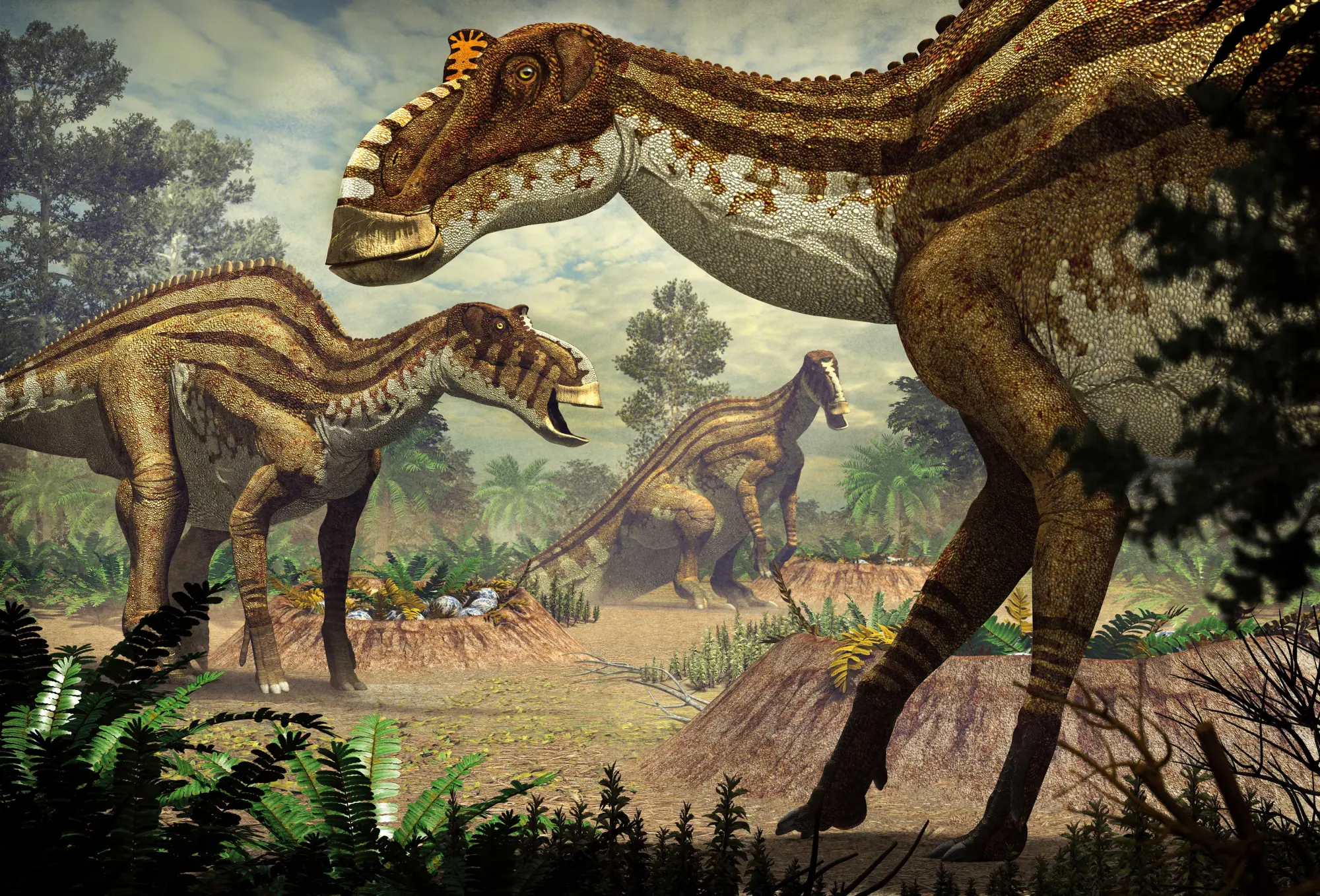 Bild: 9788863126068 | Pflanzenfressende Dinosaurier. Das Entdeckerbuch für kleine...