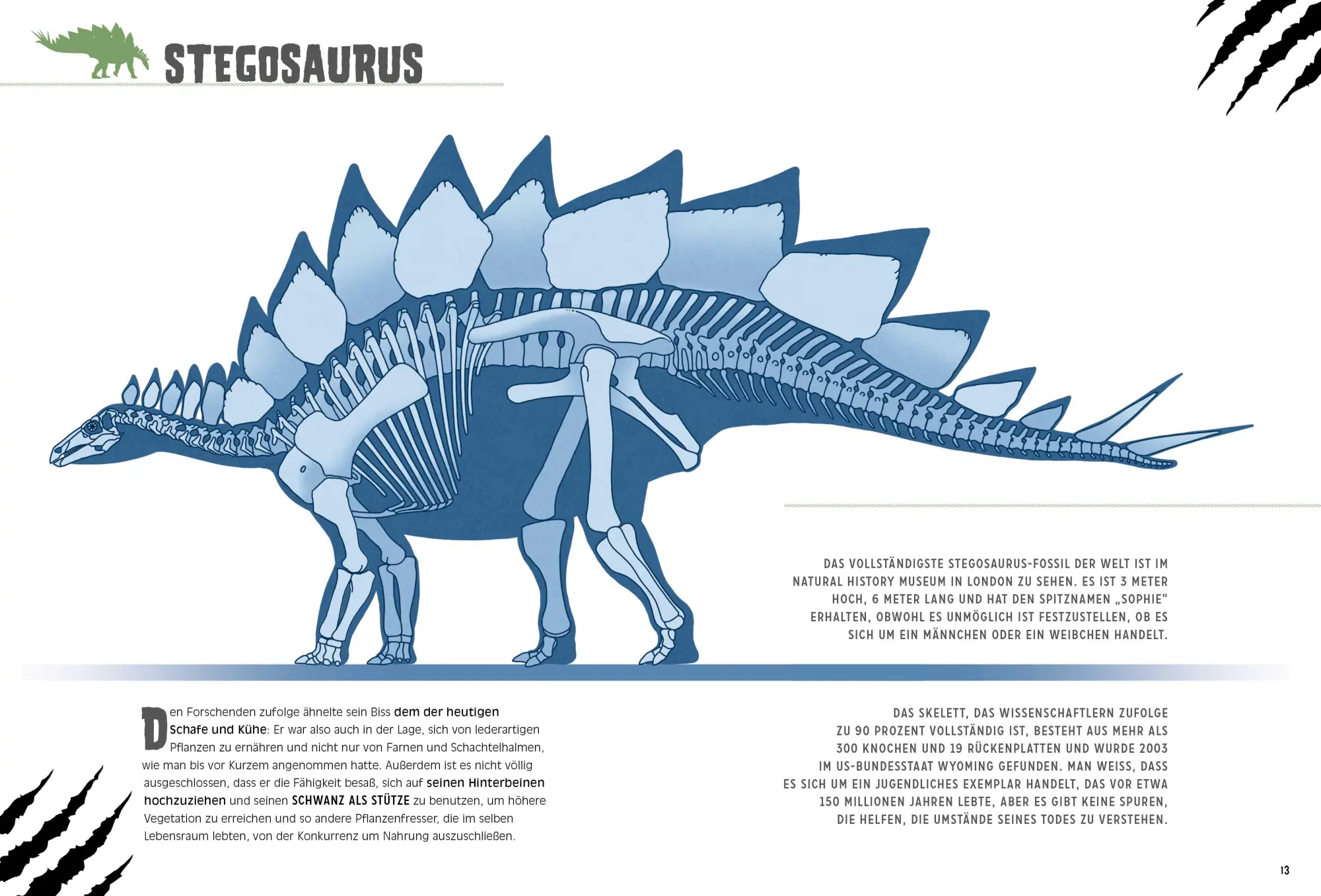 Bild: 9788863126068 | Pflanzenfressende Dinosaurier. Das Entdeckerbuch für kleine...
