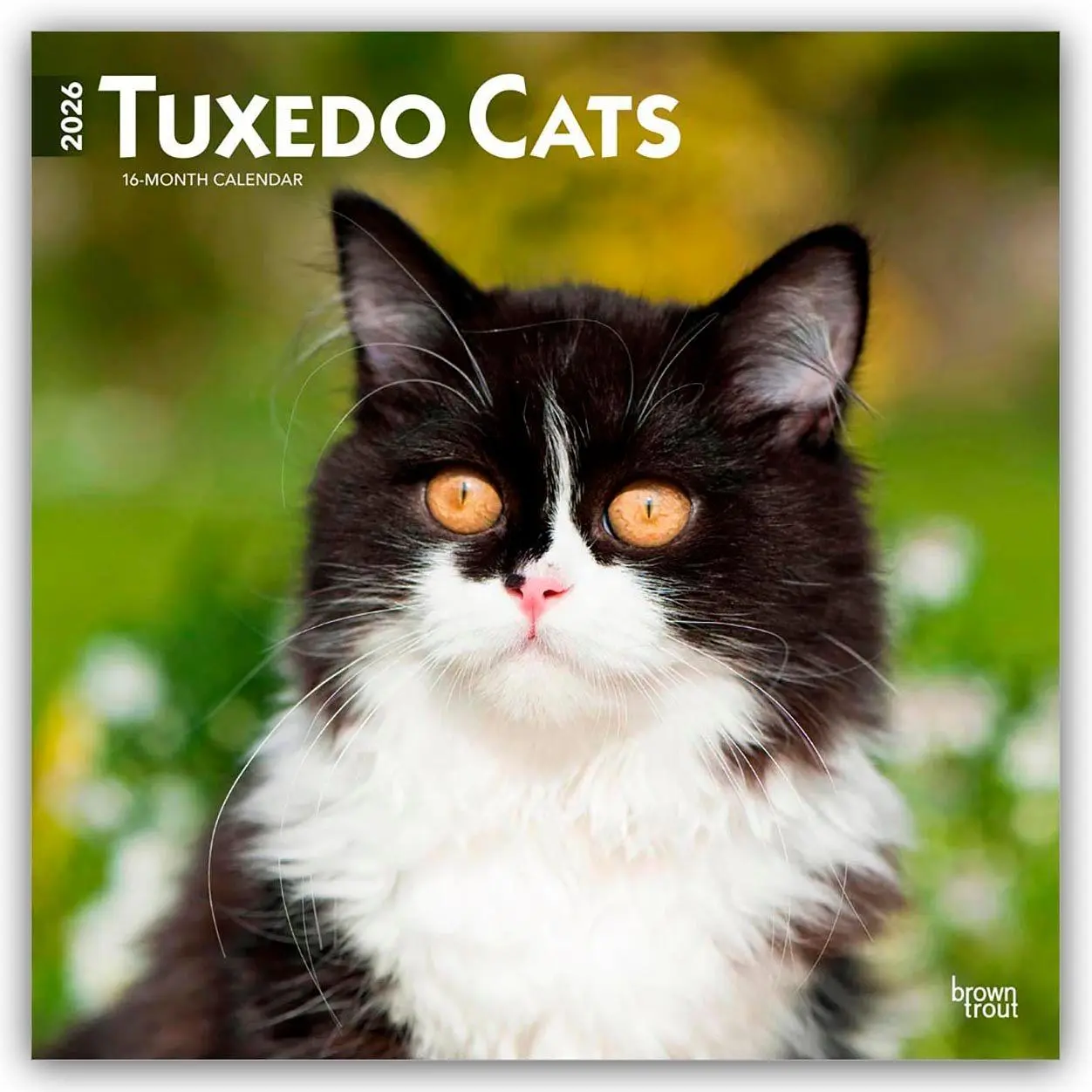 Cover: 9798330706068 | Tuxedo Cats - Tuxedo Katzen 2026 - 16-Monatskalender | Publishers