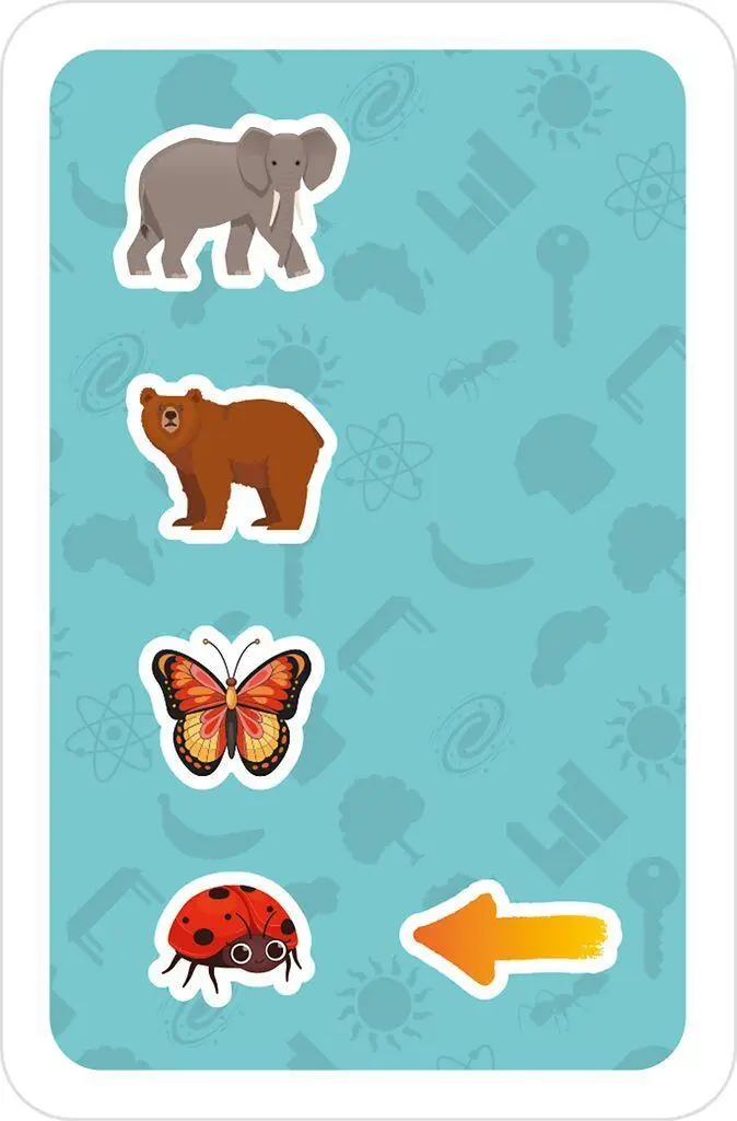Bild: 4033477906168 | Size Matters! | Hier zählt die Grösse! | Ralf Zur Linde | Spiel | 2025