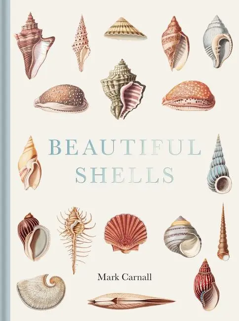 Cover: 9781851246168 | Beautiful Shells | Mark Carnall | Buch | Einband - fest (Hardcover)