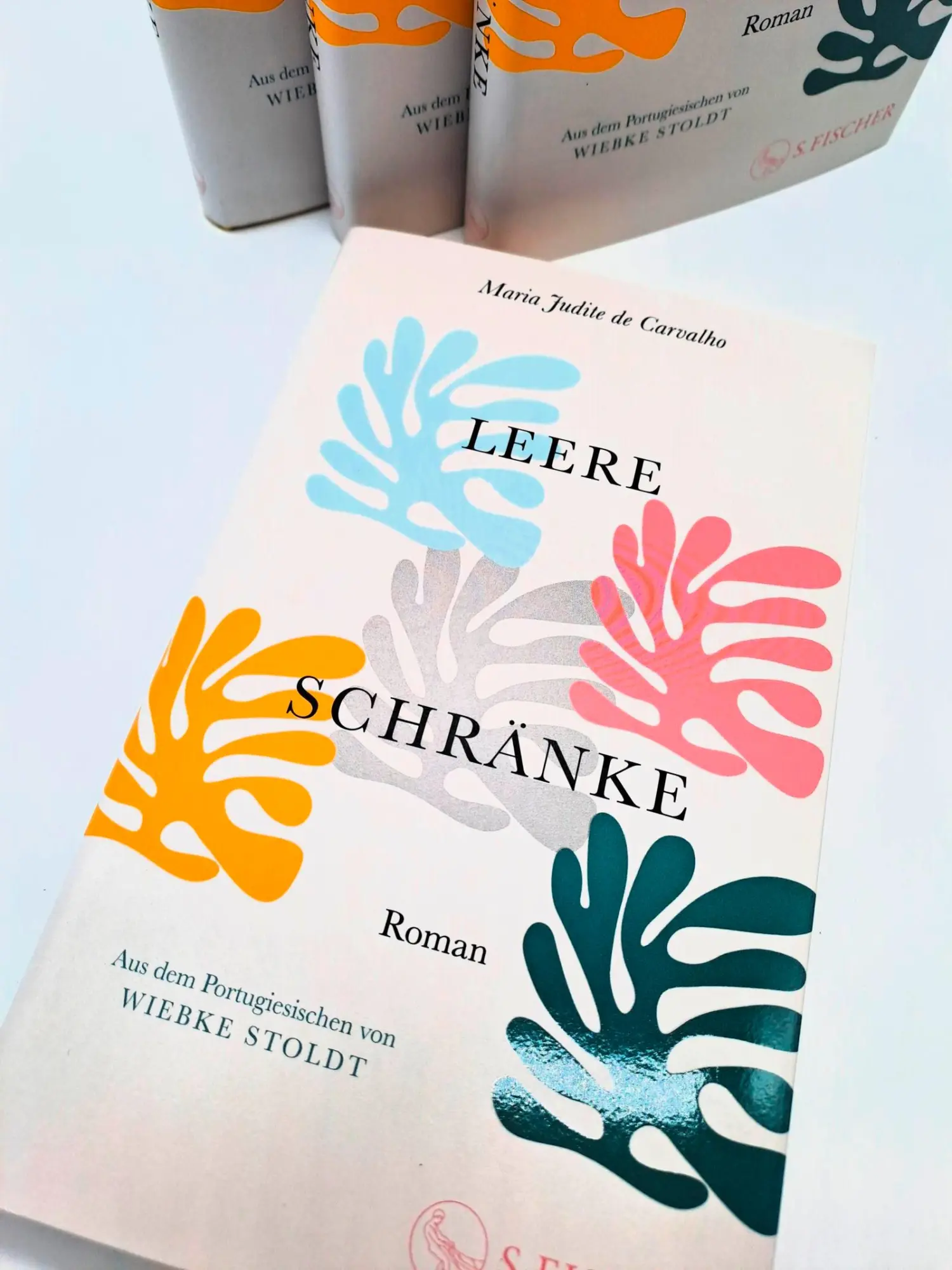 Bild: 9783103976168 | Leere Schränke | Roman | Maria Judite de Carvalho | Buch | 160 S.