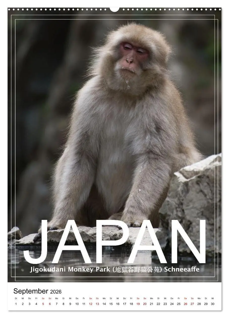 Bild: 9783516736168 | Japan PosterArt 2024 (hochwertiger Premium Wandkalender 2026 DIN A2...