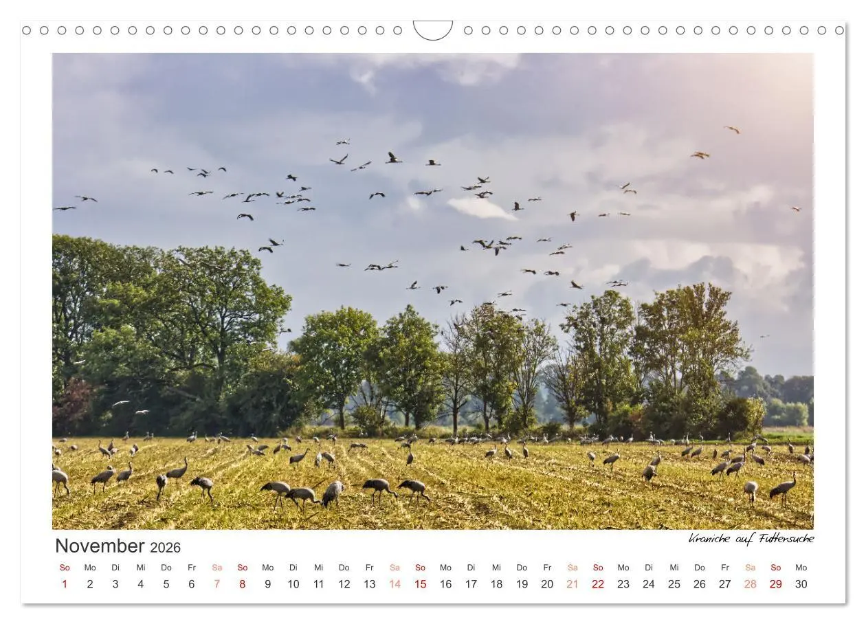 Bild: 9783457556368 | Das Havelland, immer einen Besuch wert (Wandkalender 2026 DIN A3...