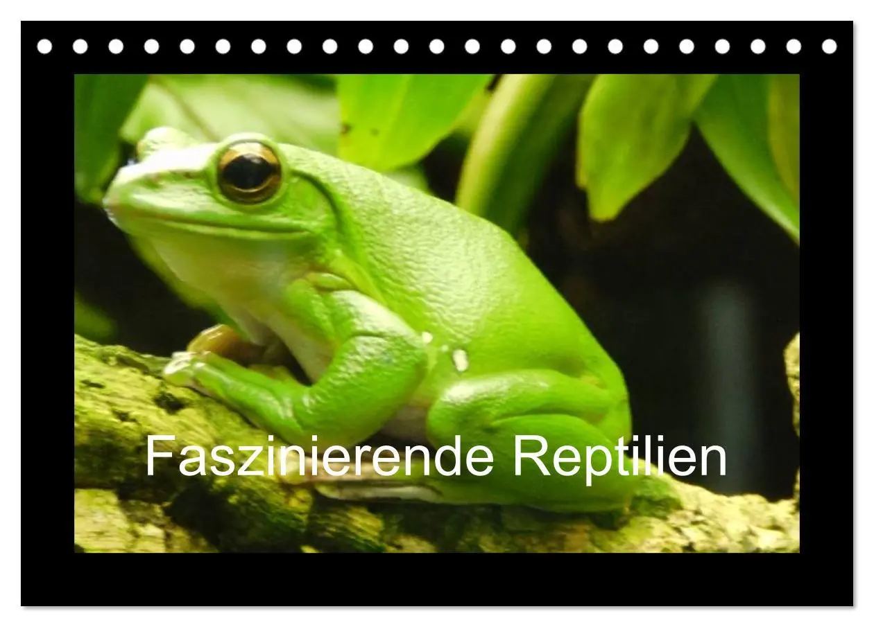 Cover: 9783516196368 | Faszinierende Reptilien (Tischkalender 2026 DIN A5 quer), CALVENDO...