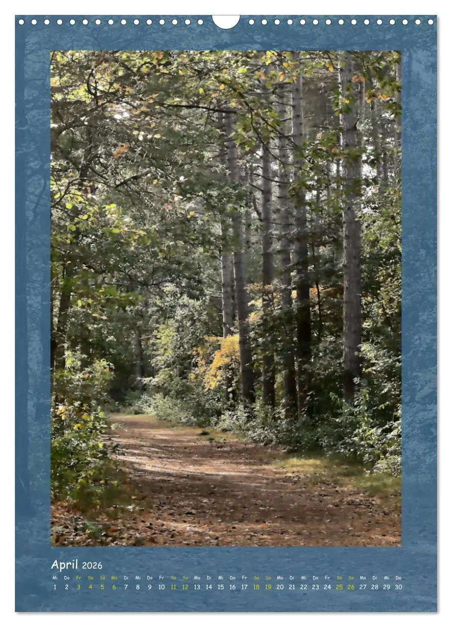 Bild: 9783516406368 | Texel sehen und verlieben (Wandkalender 2026 DIN A3 hoch), CALVENDO...