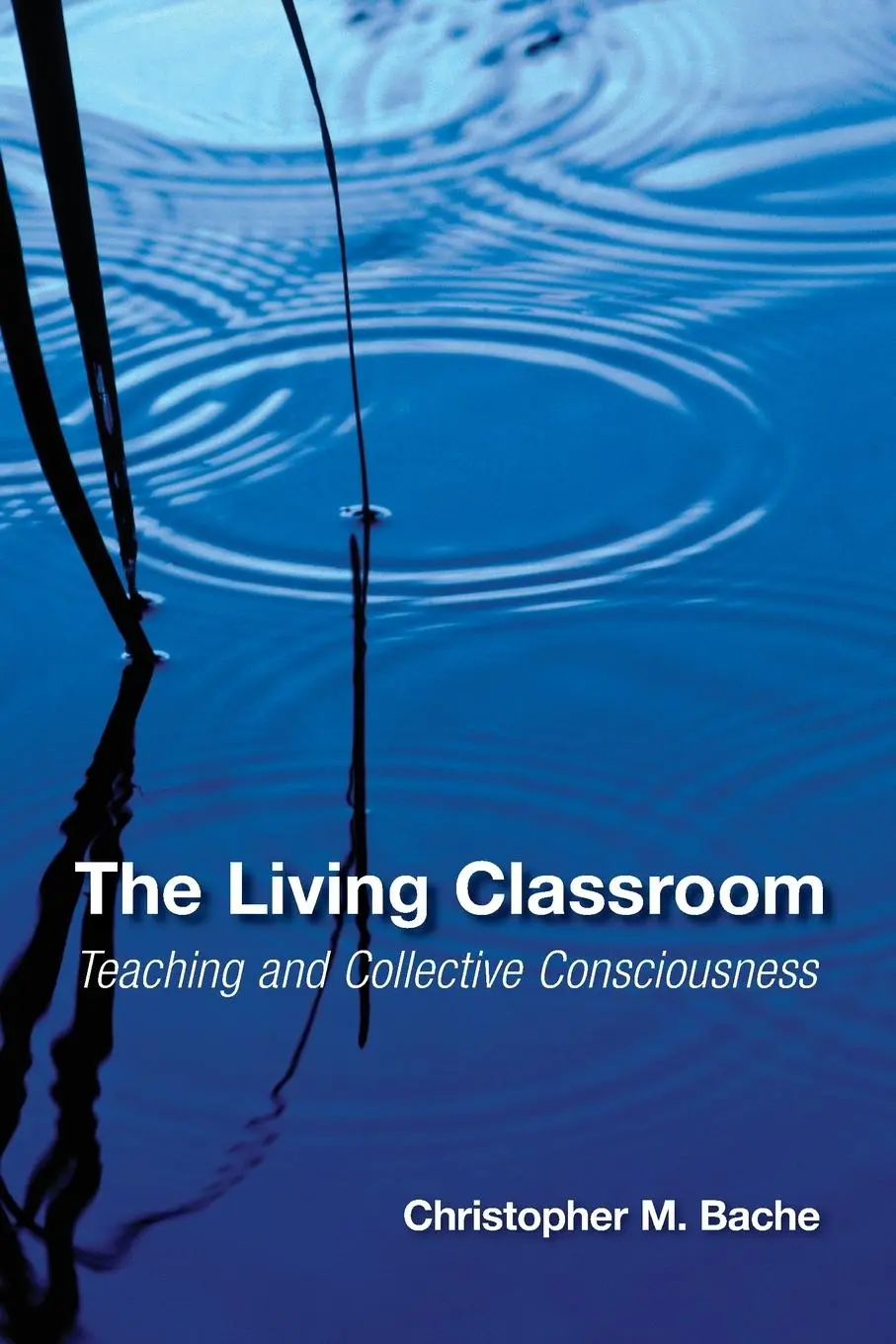 Cover: 9780791476468 | The Living Classroom | Teaching and Collective Consciousness | Bache