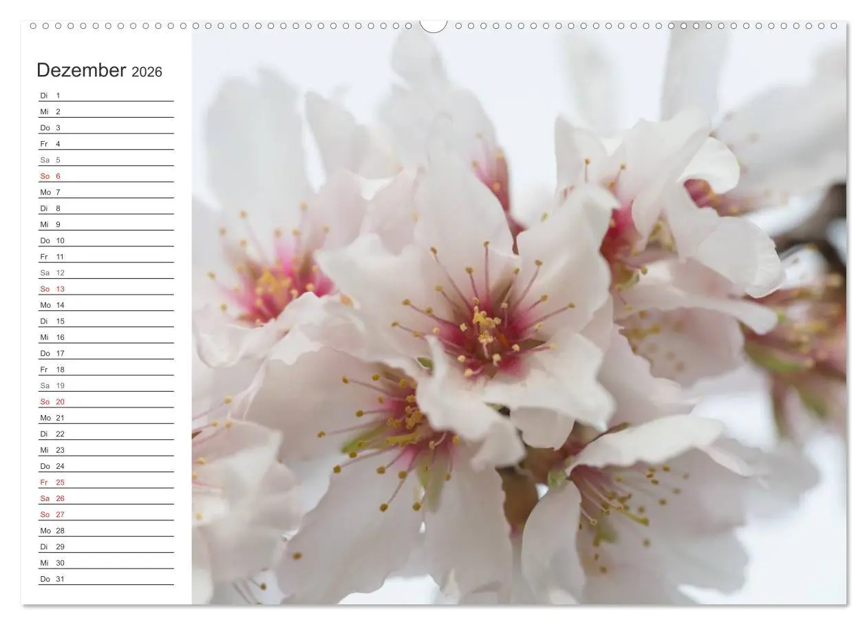 Bild: 9783516006568 | Emotionale Momente: Mandeln (hochwertiger Premium Wandkalender 2026...
