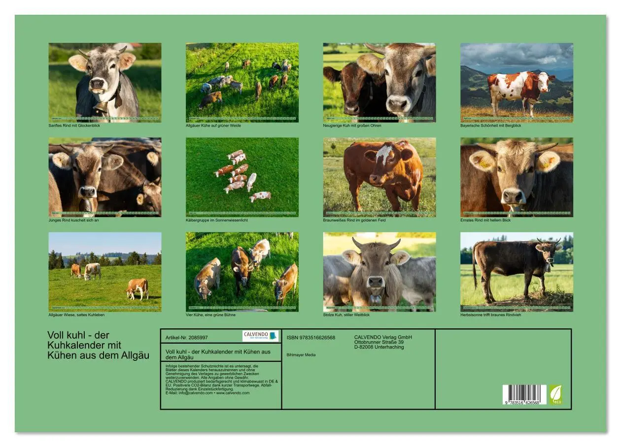 Bild: 9783516626568 | Voll kuhl - der Kuhkalender mit Kühen aus dem Allgäu (Wandkalender...