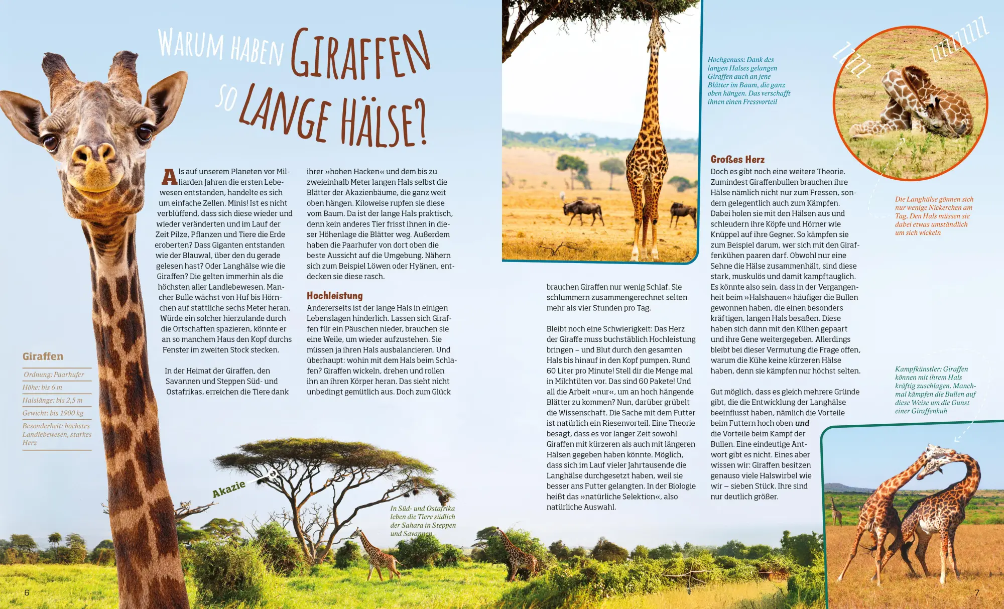 Bild: 9783788676568 | Das große WAS IST WAS Antwortbuch Tierwelt | Barbara Lich | Buch