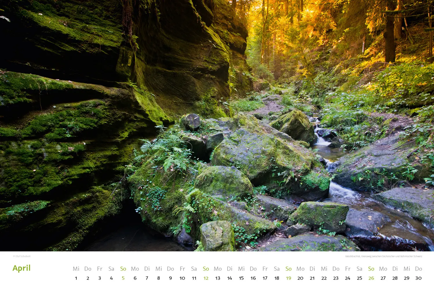 Bild: 9783938916568 | Kalender Sächsische &amp; Böhmische Schweiz 2026 | Wandkalender 45 x 30 cm