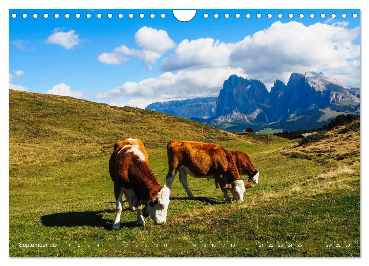 Bild: 9783457696668 | Sehnsucht Seiser Alm (Wandkalender 2026 DIN A4 quer), CALVENDO...