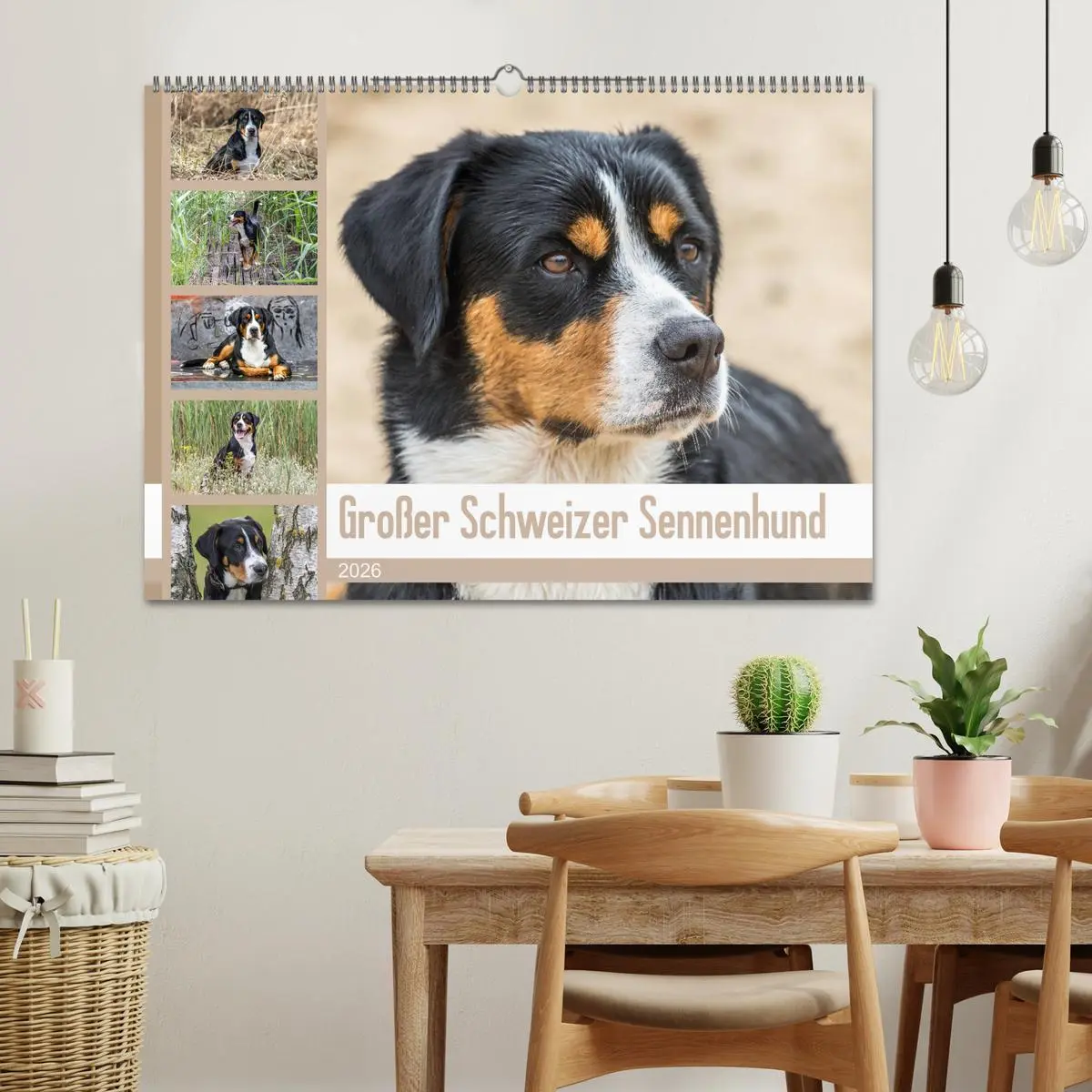 Bild: 9783457836668 | Großer Schweizer Sennenhund (Wandkalender 2026 DIN A2 quer),...