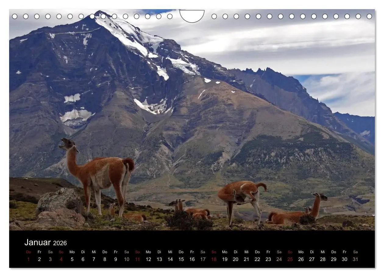 Bild: 9783516166668 | Im Nationalpark Torres del Paine (Chile) (Wandkalender 2026 DIN A4...