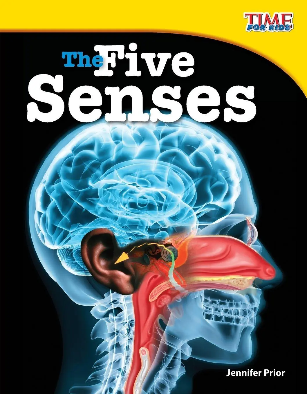 Cover: 9781433336768 | The Five Senses | Jennifer Prior | Taschenbuch | Englisch | 2012