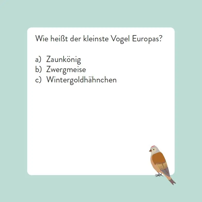 Bild: 9783747206768 | Das Vogel-Quiz | Box mit 66 Spielkarten und Anleitung | Saladin | 2025