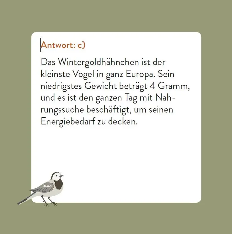 Bild: 9783747206768 | Das Vogel-Quiz | Box mit 66 Spielkarten und Anleitung | Saladin | 2025