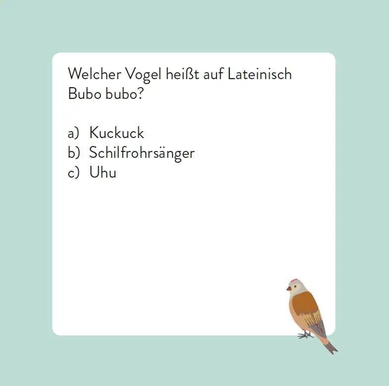 Bild: 9783747206768 | Das Vogel-Quiz | Box mit 66 Spielkarten und Anleitung | Saladin | 2025