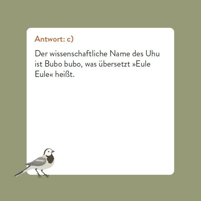 Bild: 9783747206768 | Das Vogel-Quiz | Box mit 66 Spielkarten und Anleitung | Saladin | 2025