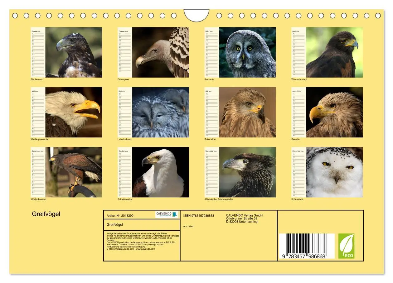 Bild: 9783457986868 | Greifvögel (Wandkalender 2026 DIN A4 quer), CALVENDO Monatskalender