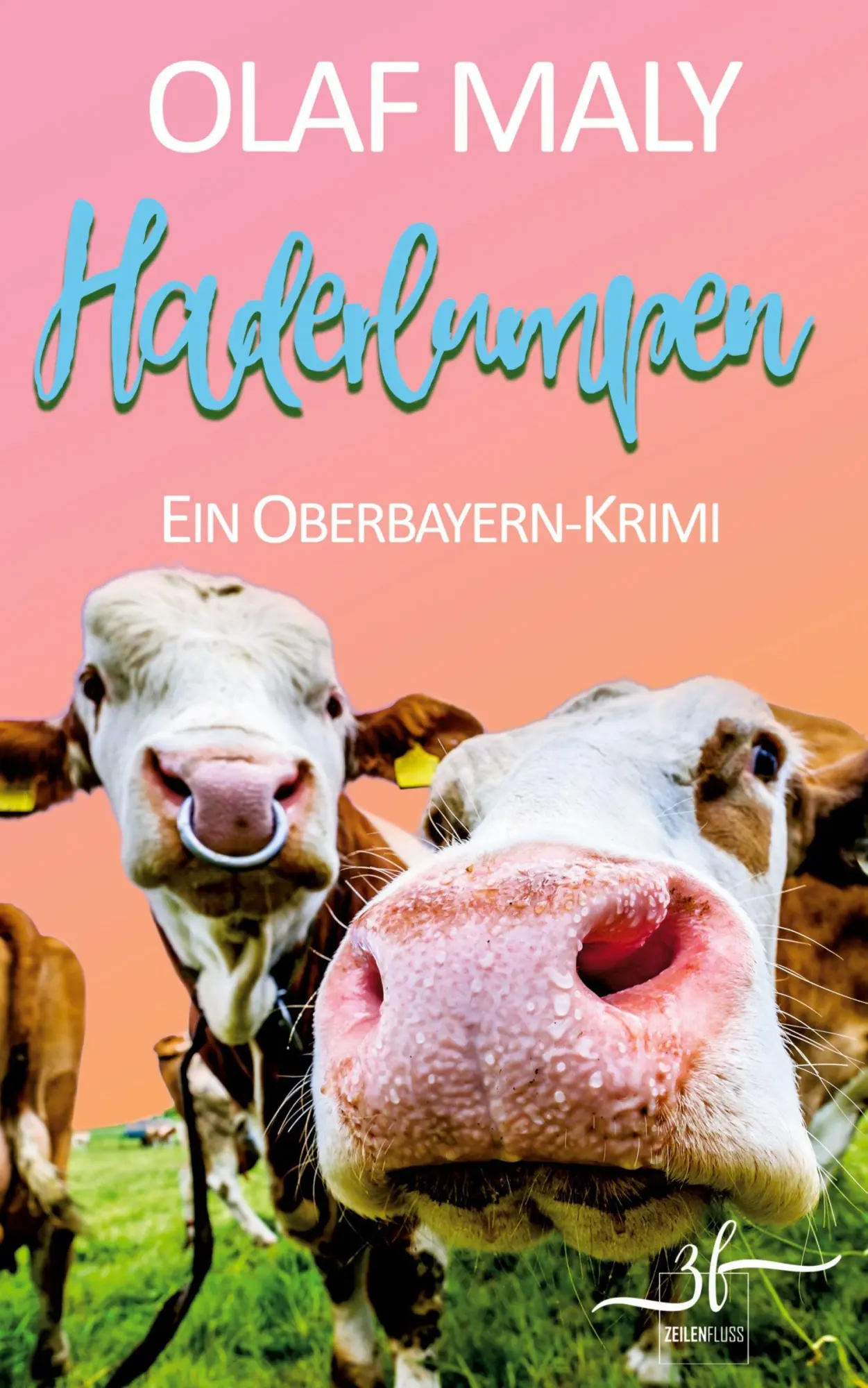 Cover: 9783967146868 | Haderlumpen | Humorvoller Bayern-Krimi - Cosy Crime vom Feinsten