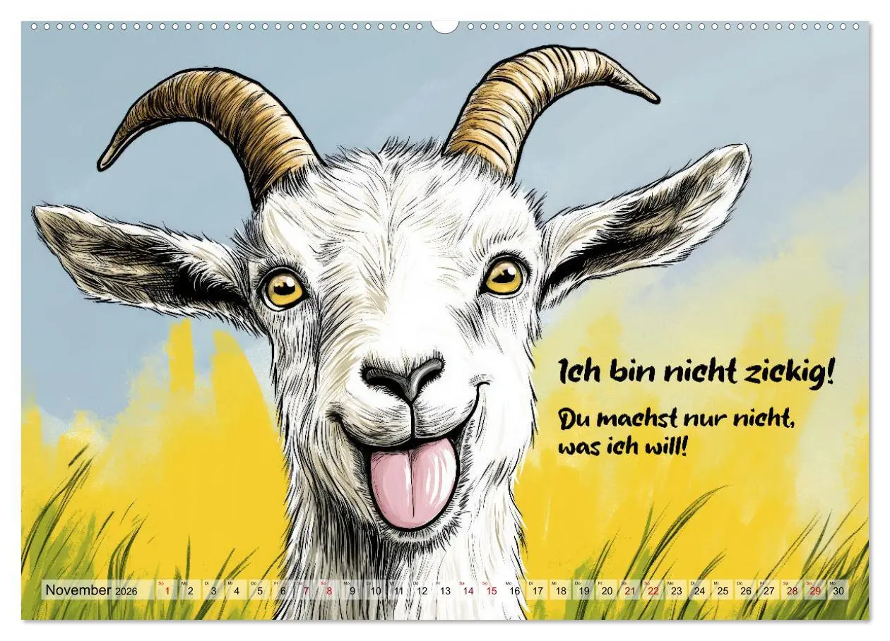 Bild: 9783457356968 | Ziegen, süß aber psycho (Wandkalender 2026 DIN A2 quer), CALVENDO...