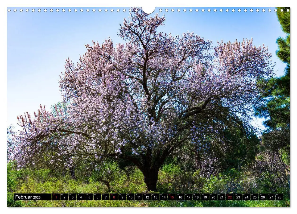 Bild: 9783457736968 | La Palma - Landschaften und Meer (Wandkalender 2026 DIN A3 quer),...