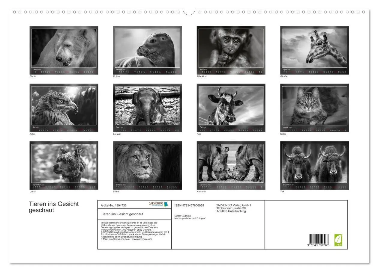 Bild: 9783457806968 | Tieren ins Gesicht geschaut (Wandkalender 2026 DIN A2 quer),...