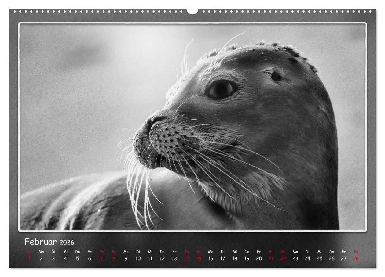 Bild: 9783457806968 | Tieren ins Gesicht geschaut (Wandkalender 2026 DIN A2 quer),...