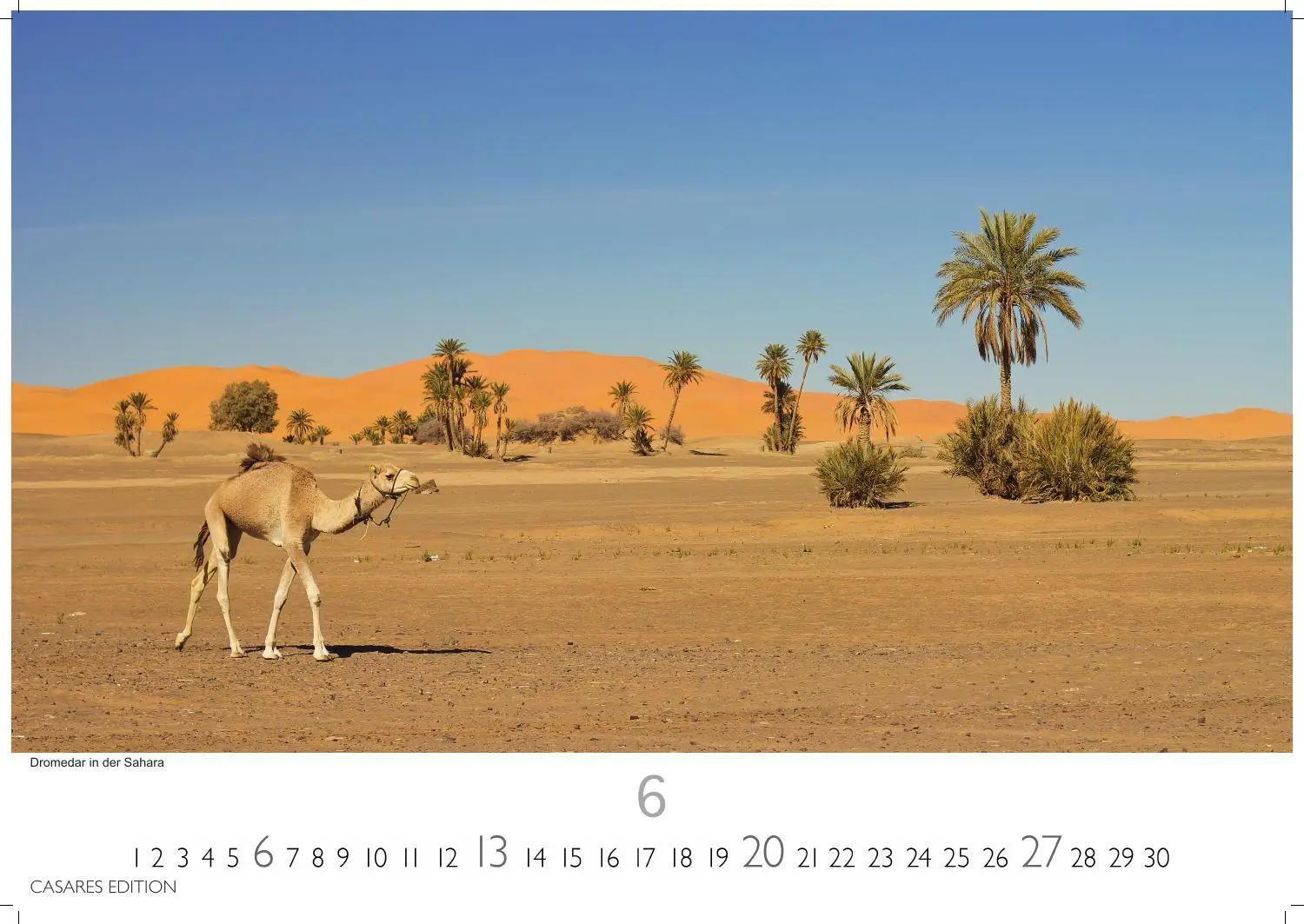 Bild: 9781835247068 | Tunesien Kalender 2027 - Wandkalender Fotokalender Afrika 24x35 cm:...