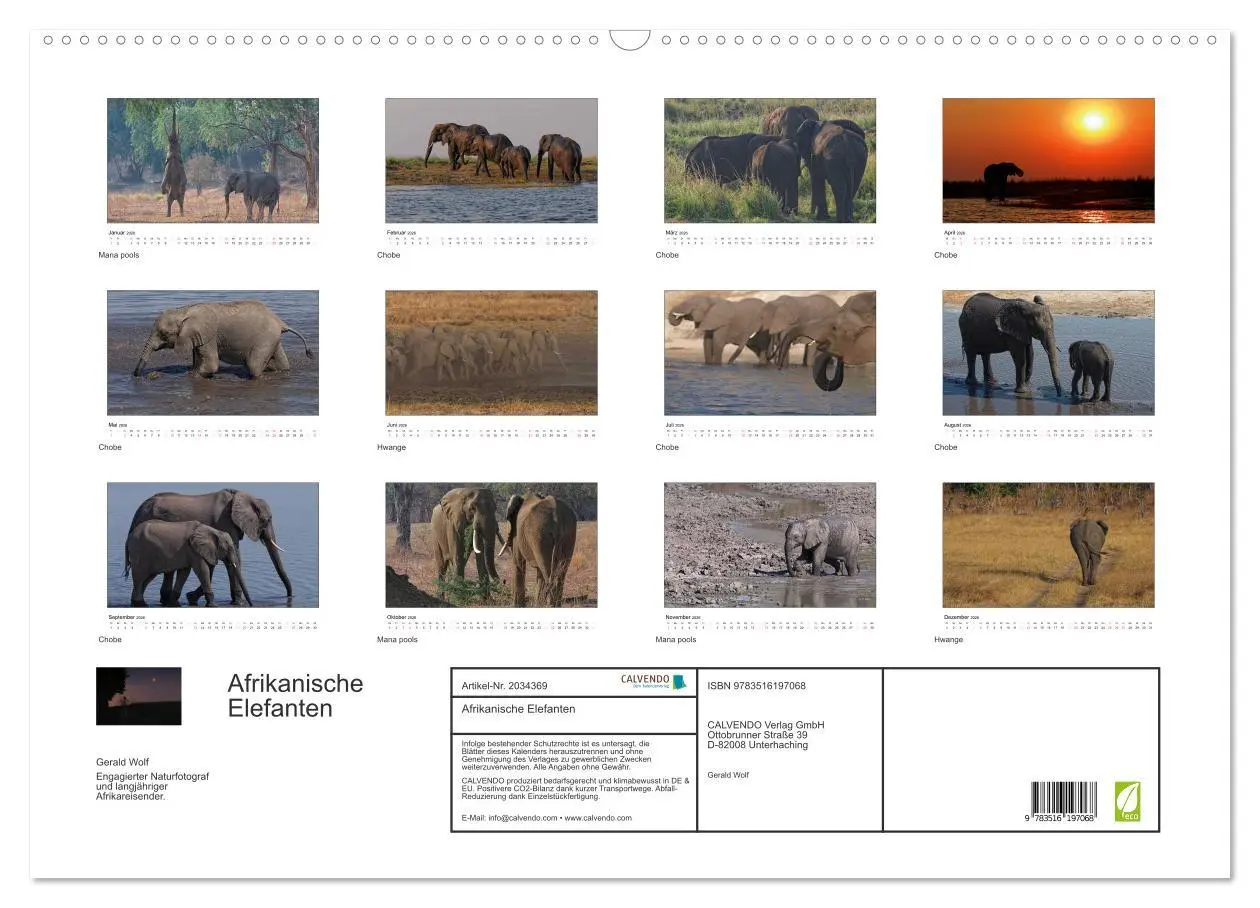 Bild: 9783516197068 | Afrikanische Elefanten (Wandkalender 2026 DIN A2 quer), CALVENDO...