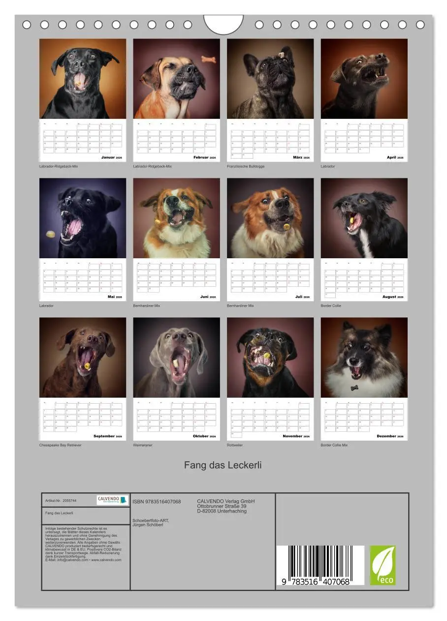 Bild: 9783516407068 | Fang das Leckerli (Wandkalender 2026 DIN A4 hoch), CALVENDO...