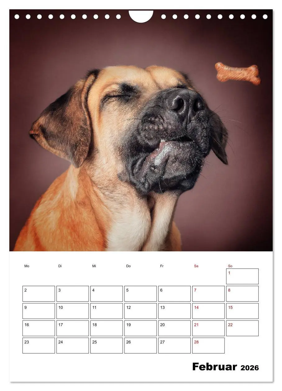 Bild: 9783516407068 | Fang das Leckerli (Wandkalender 2026 DIN A4 hoch), CALVENDO...