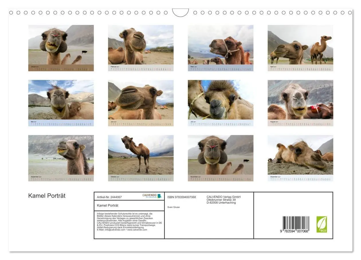 Bild: 9783594007068 | Kamel Porträt (Wandkalender 2027 DIN A3 quer), CALVENDO Monatskalender