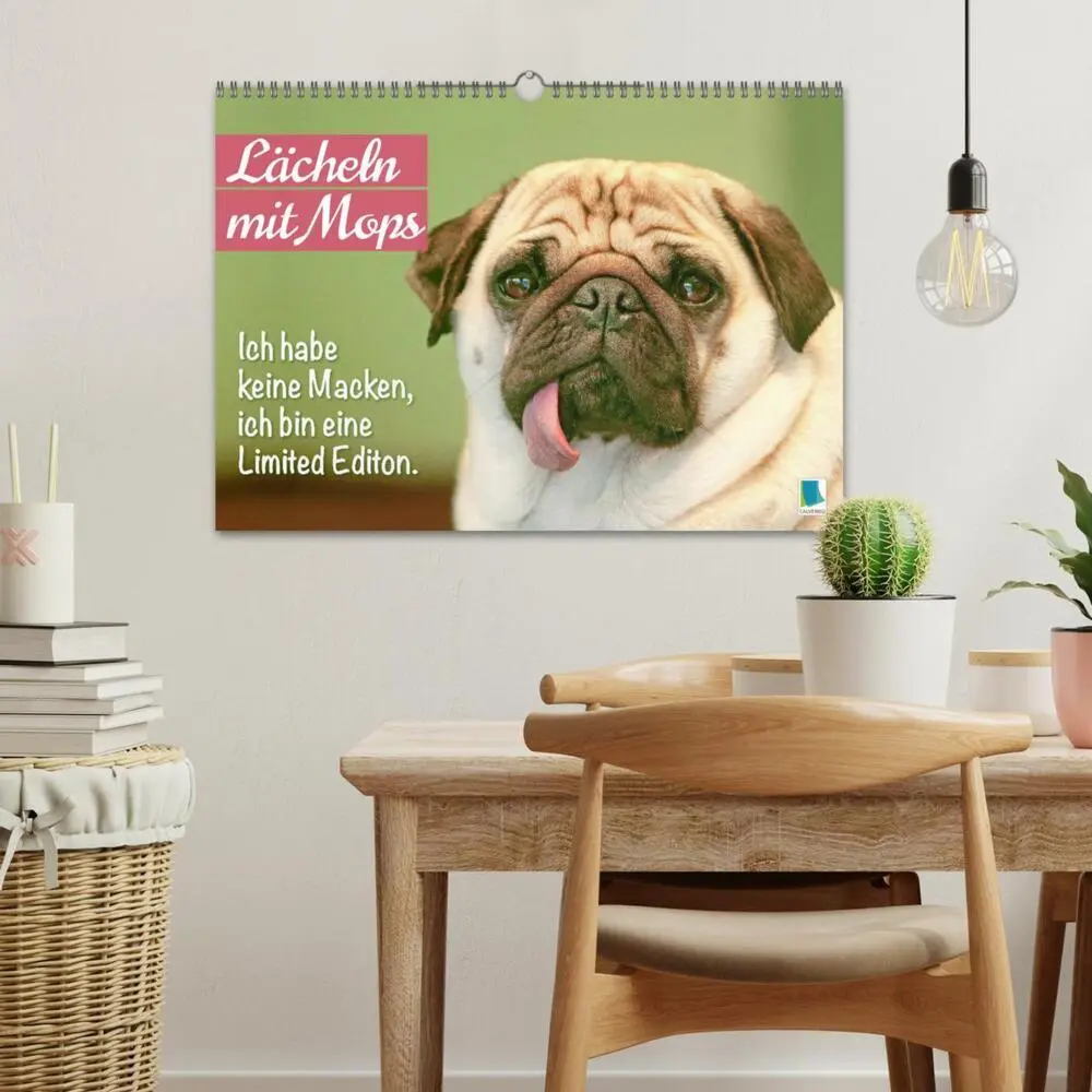 Bild: 9783457167168 | Lächeln mit Mops (Wandkalender 2025 DIN A3 quer), CALVENDO...