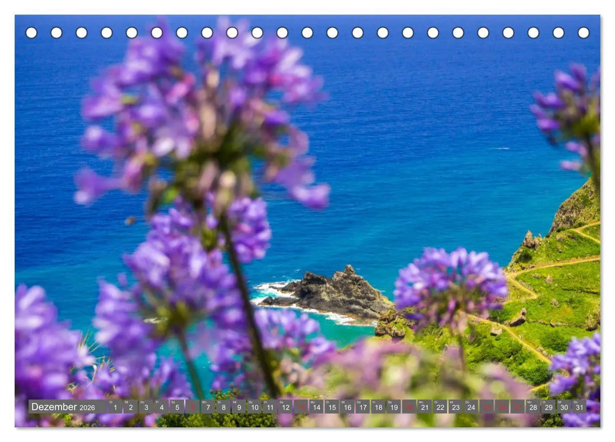 Bild: 9783457787168 | Madeira - Insel der Blumen 2026 (Tischkalender 2026 DIN A5 quer),...