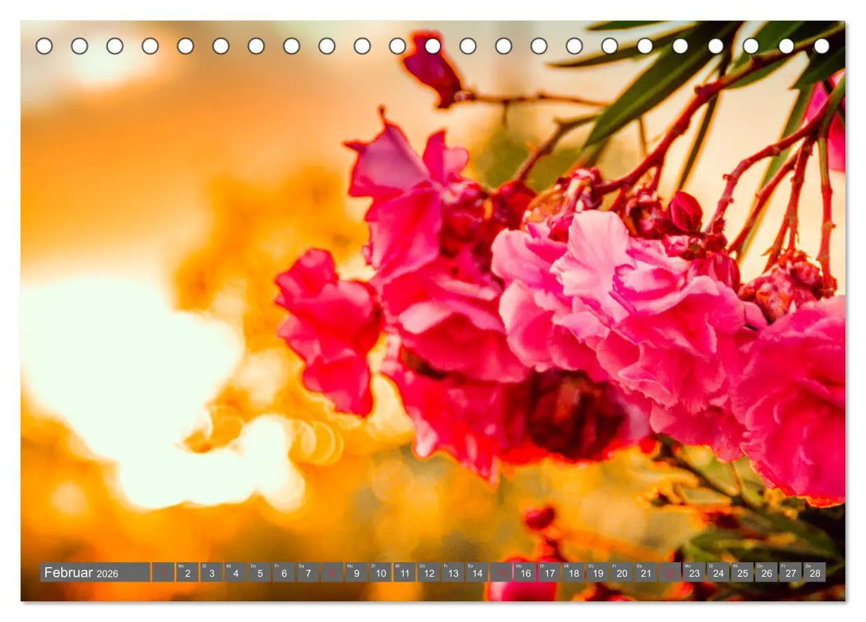 Bild: 9783457787168 | Madeira - Insel der Blumen 2026 (Tischkalender 2026 DIN A5 quer),...