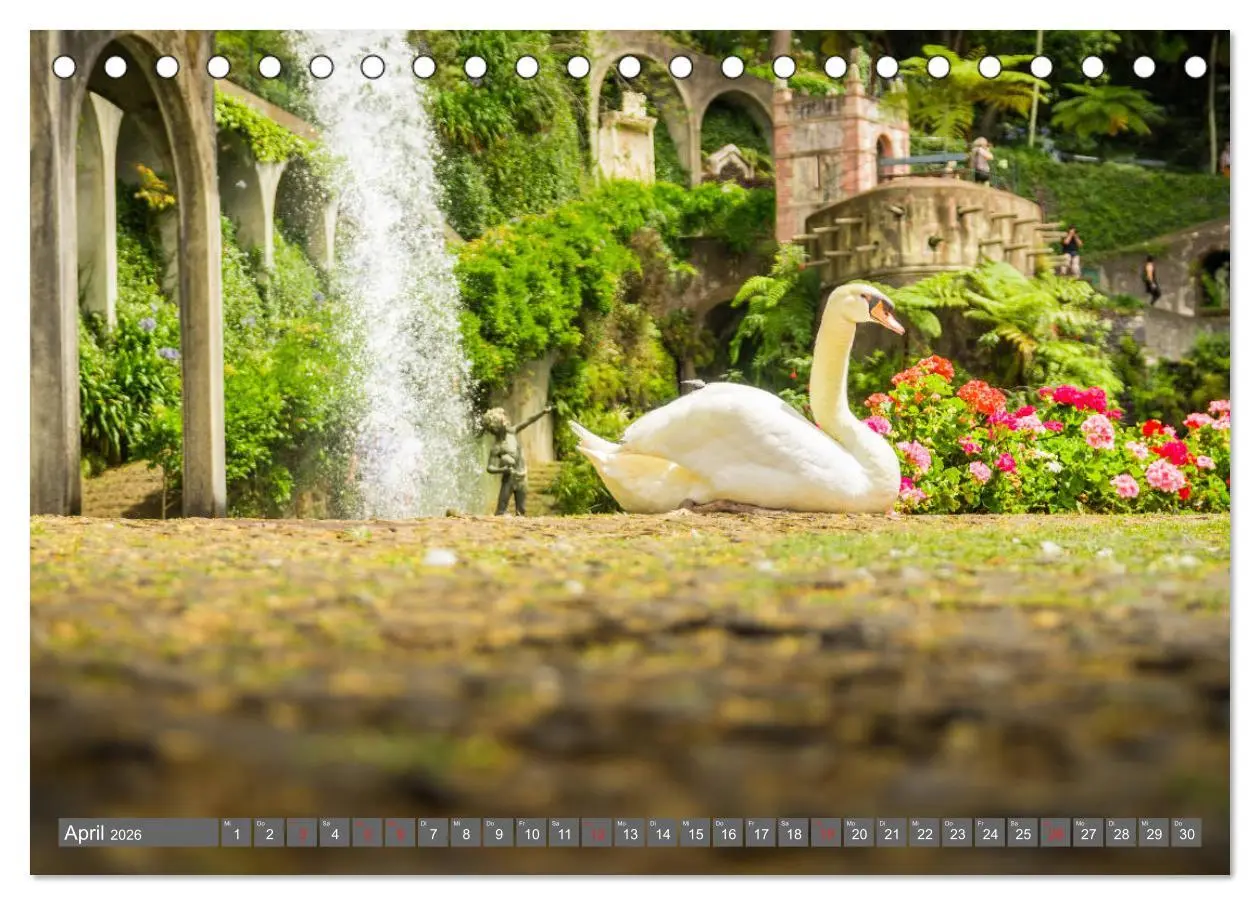 Bild: 9783457787168 | Madeira - Insel der Blumen 2026 (Tischkalender 2026 DIN A5 quer),...
