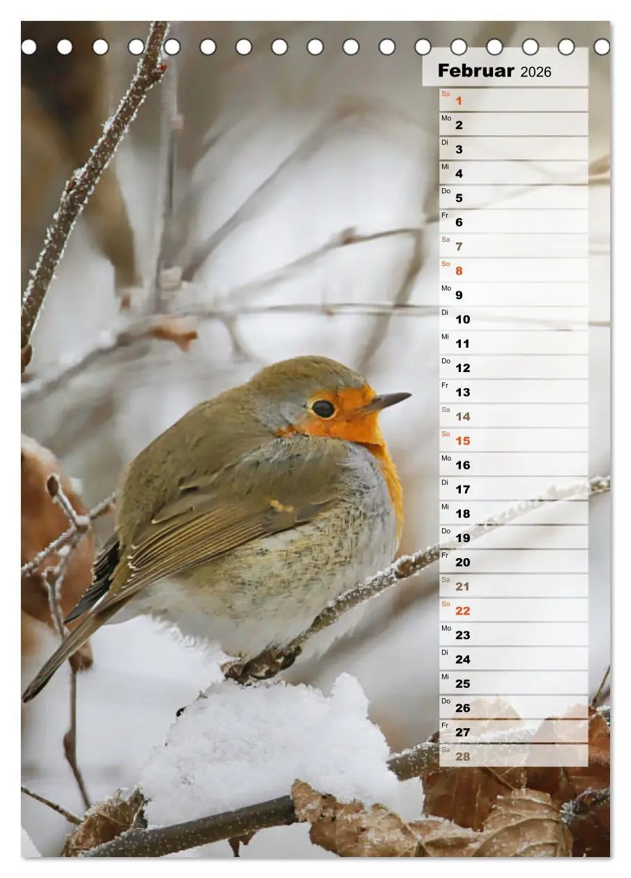 Bild: 9783516327168 | Niedliche Rotkehlchen (Tischkalender 2026 DIN A5 hoch), CALVENDO...