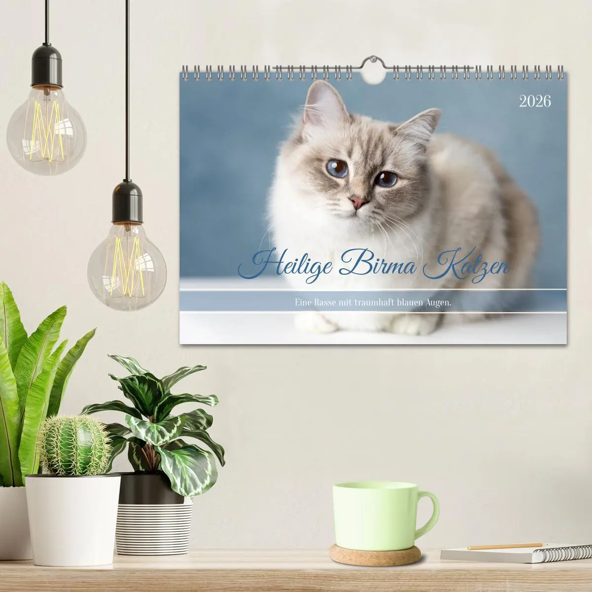 Bild: 9783516637168 | Heilige Birma Katzen - Eine Rasse mit traumhaft blauen Augen....