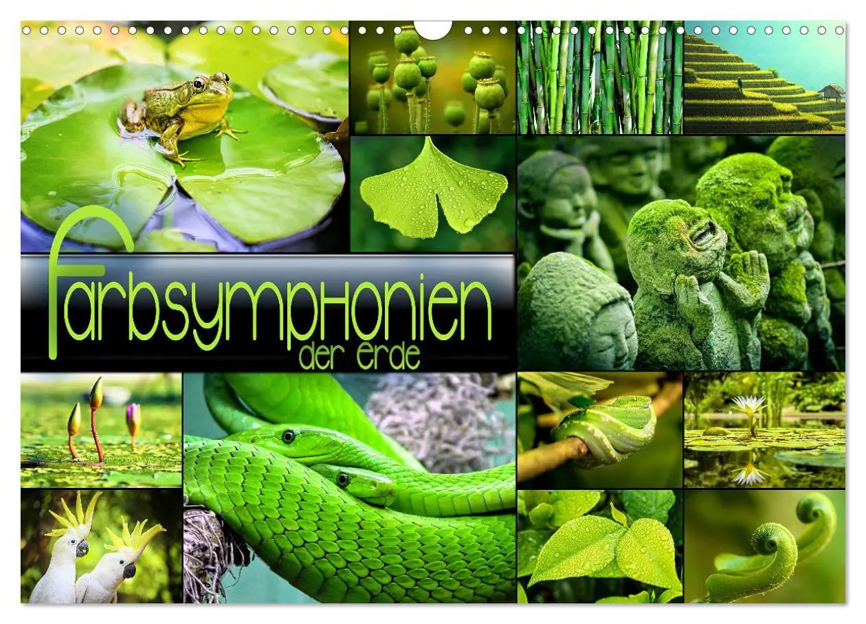 Cover: 9783457607268 | Farbsymphonien der Erde (Wandkalender 2026 DIN A3 quer), CALVENDO...