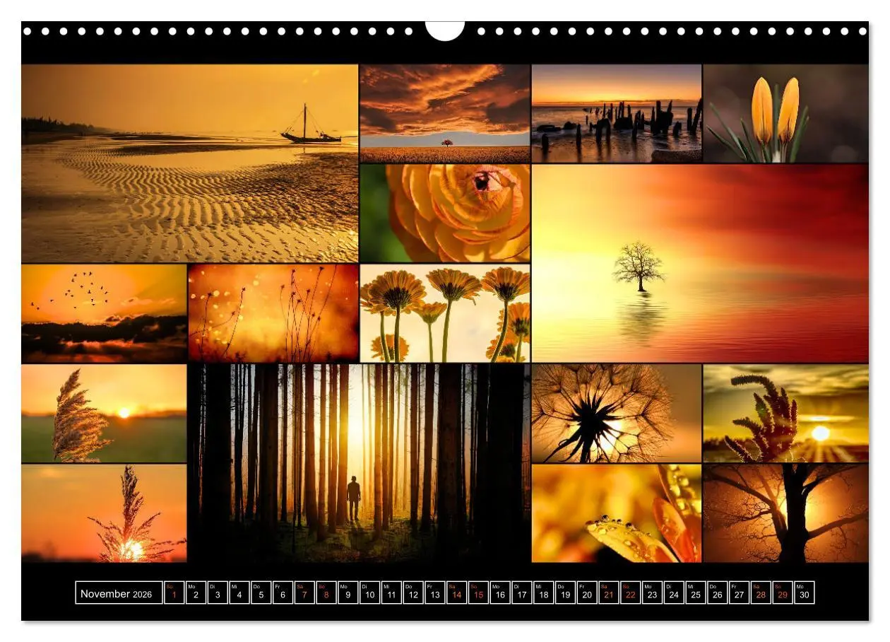 Bild: 9783457607268 | Farbsymphonien der Erde (Wandkalender 2026 DIN A3 quer), CALVENDO...