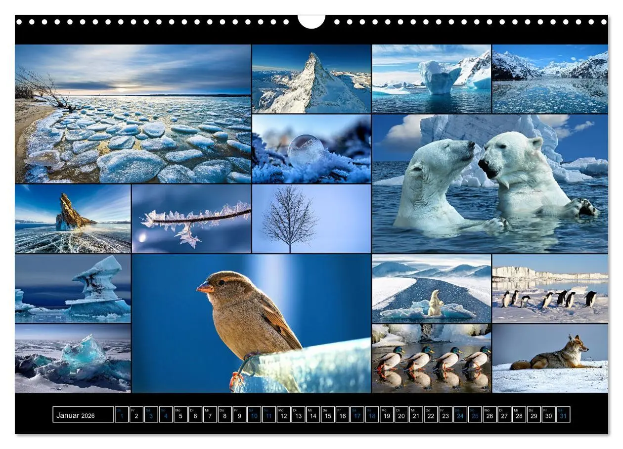 Bild: 9783457607268 | Farbsymphonien der Erde (Wandkalender 2026 DIN A3 quer), CALVENDO...